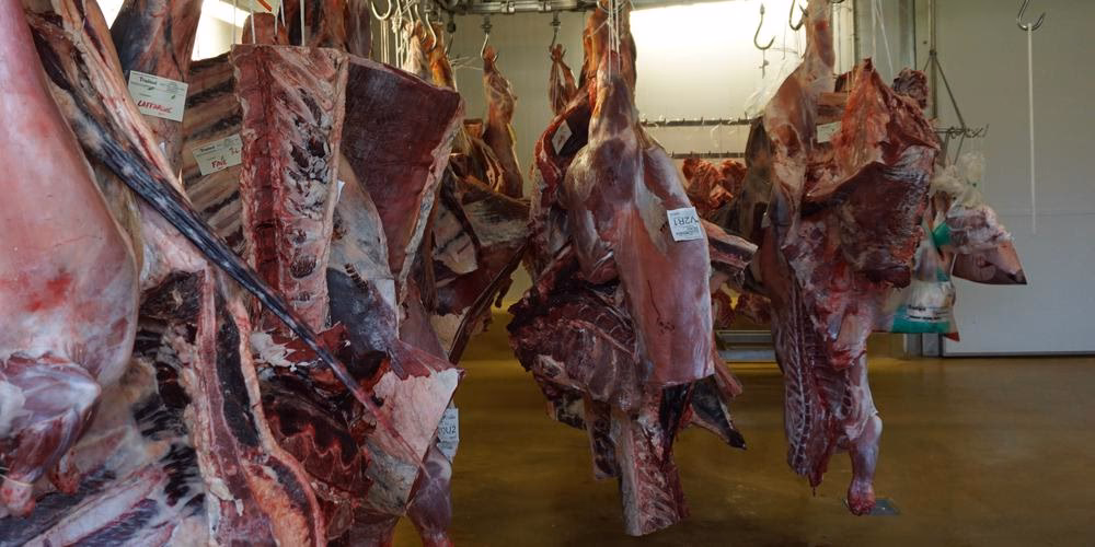 Qu'est-ce que l'abattoir ?
