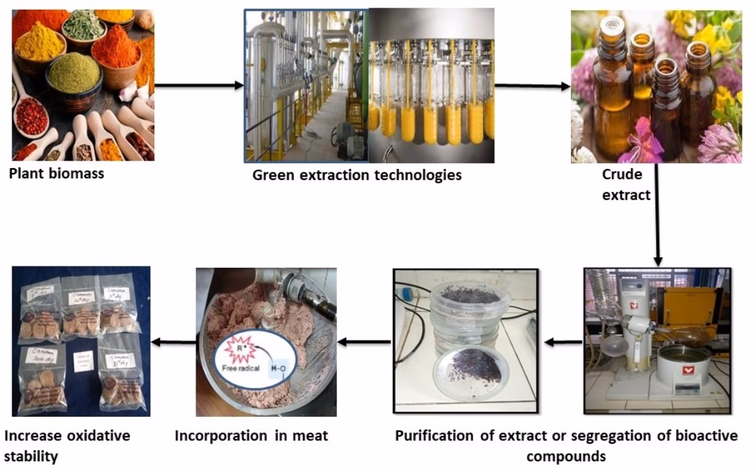 Are spices rich in antioxidants?