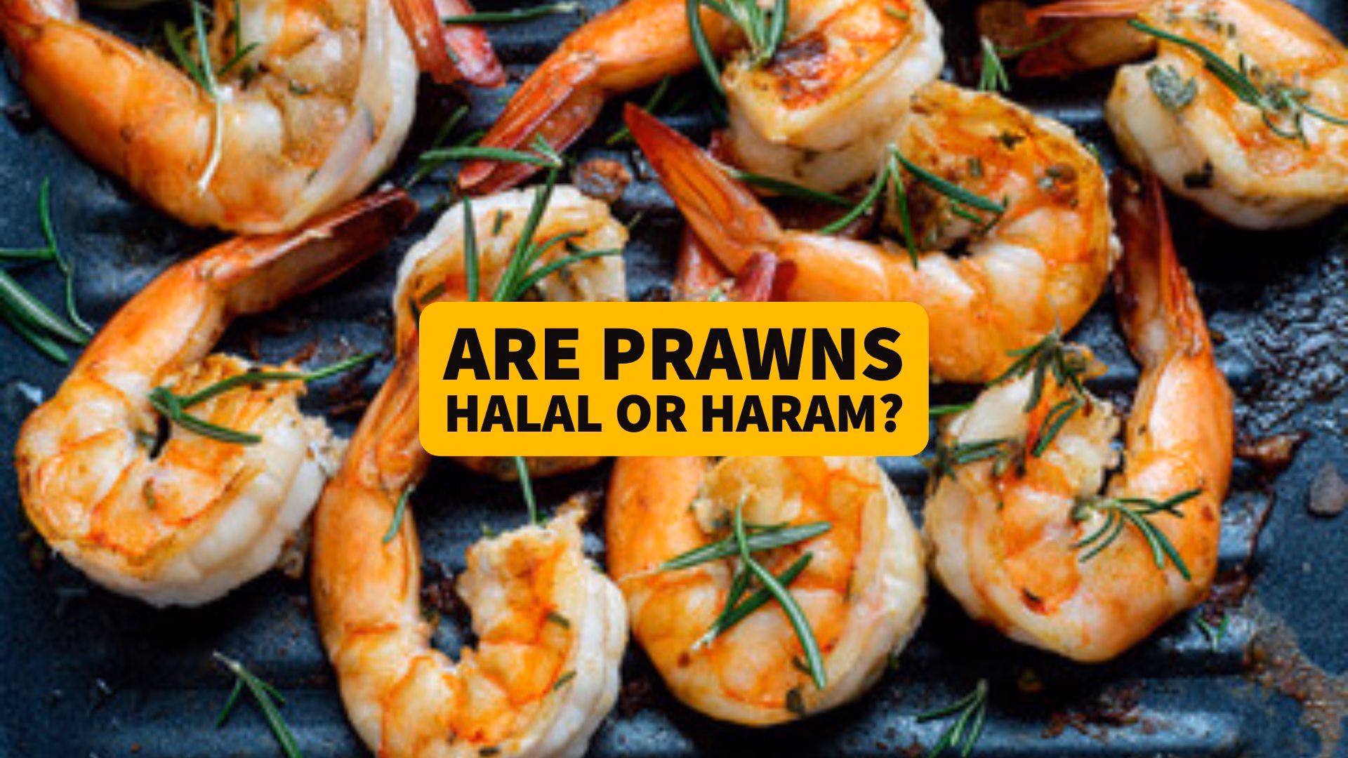 Are prawns halal?