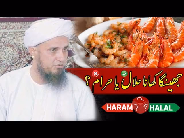 Are prawns halal in Hanafi?