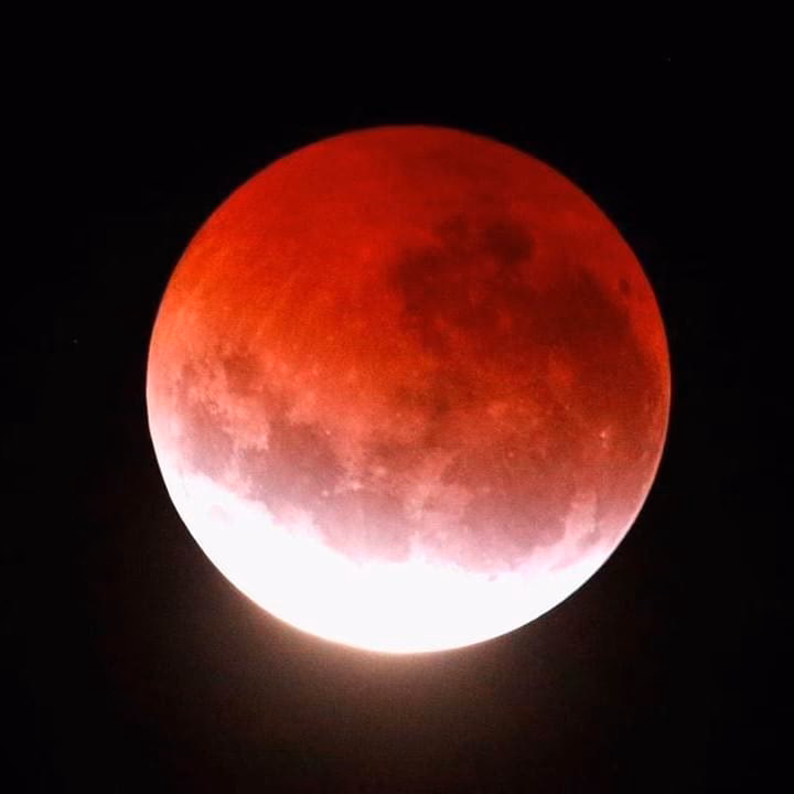 How do you rate Denzel Curry's steroid album?