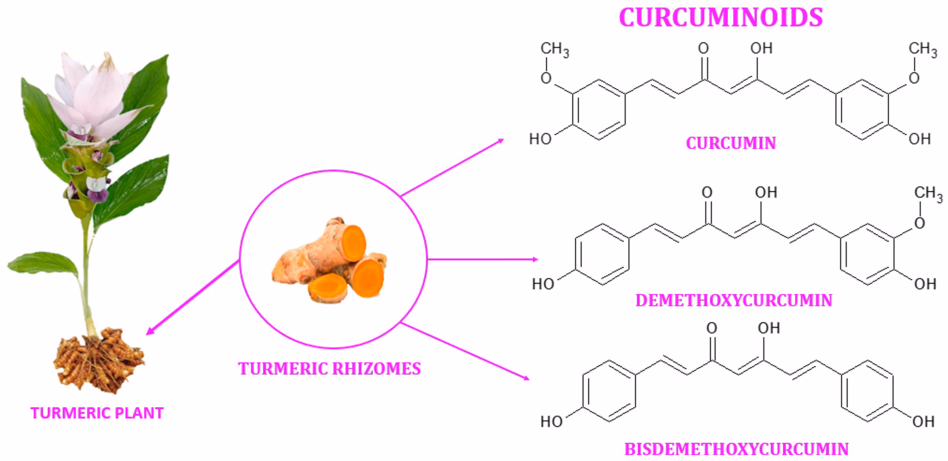 What chemicals are in turmeric?