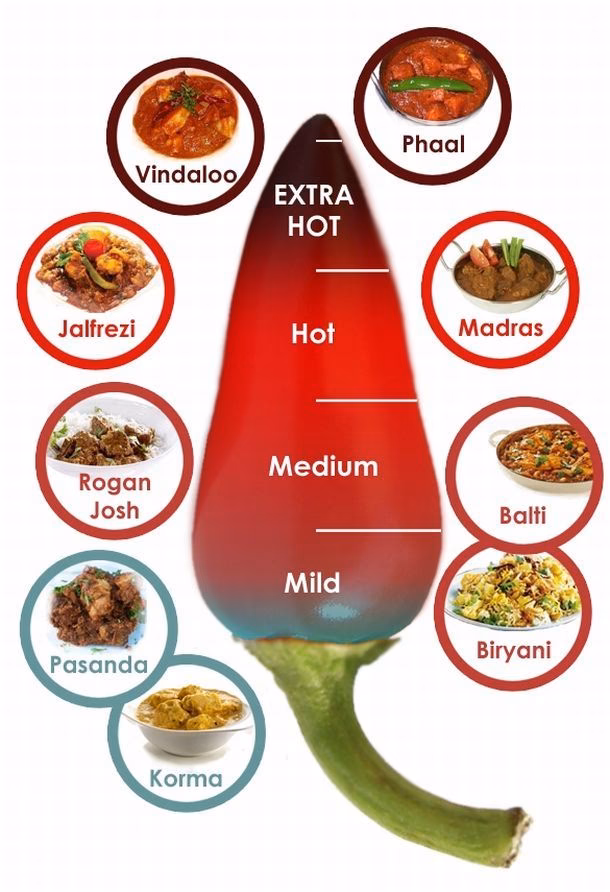 What are the different types of Indian curries?
