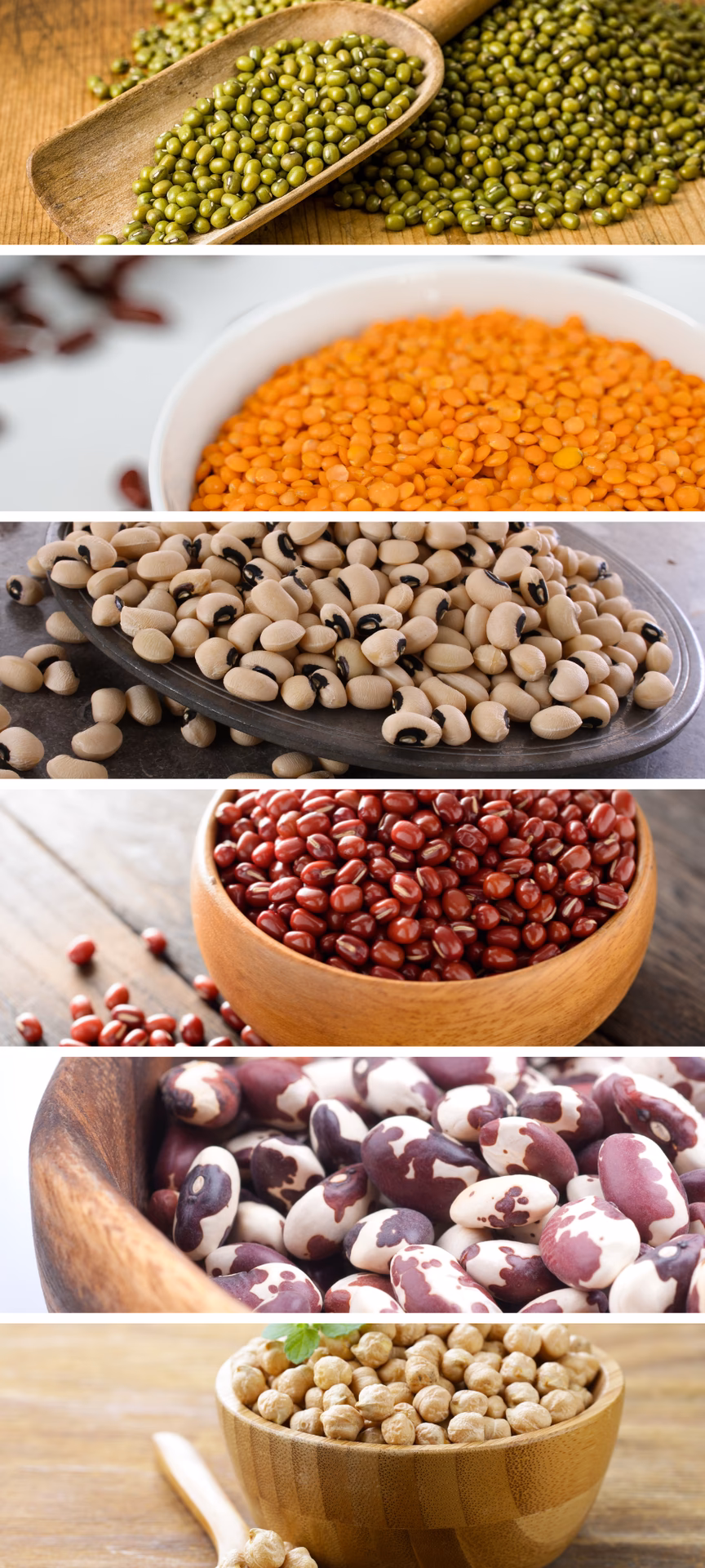 Which beans are hardest to digest?
