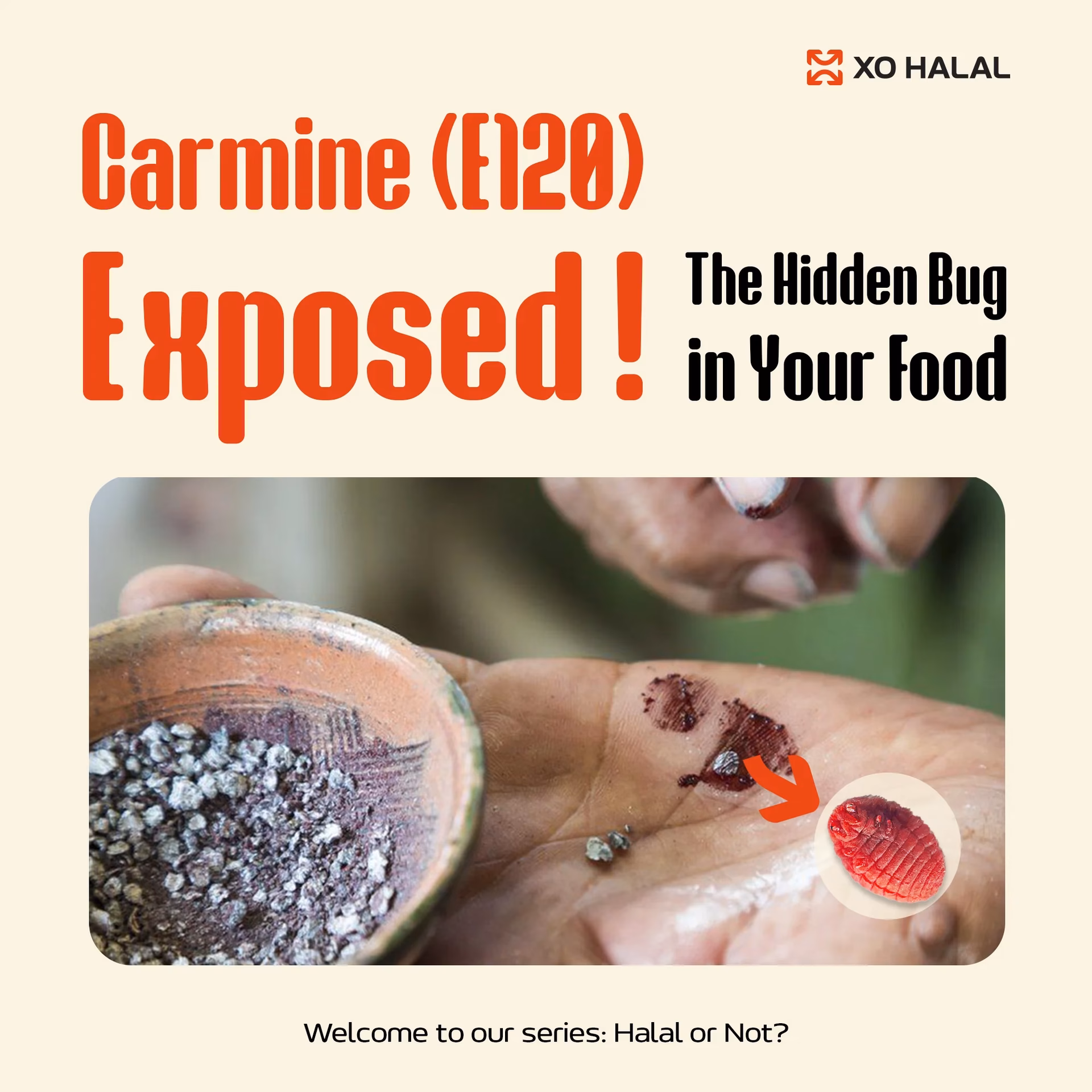 Is dye carmine halal?