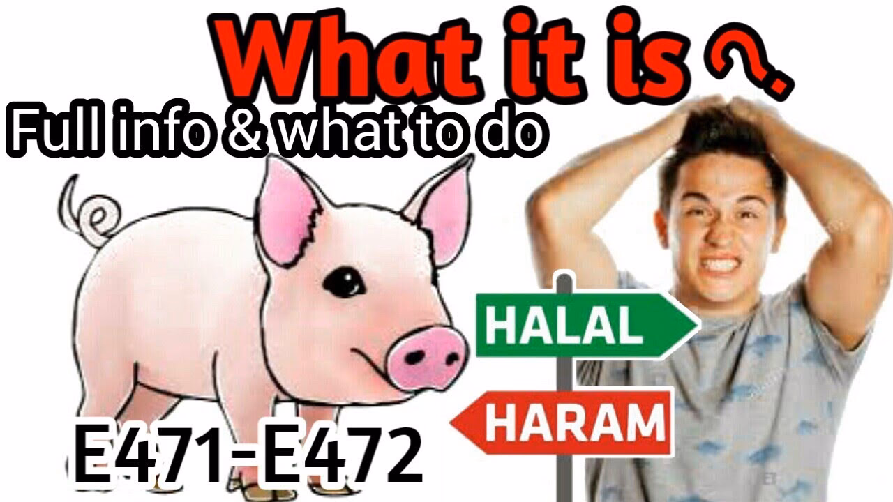 Is e472 halal?