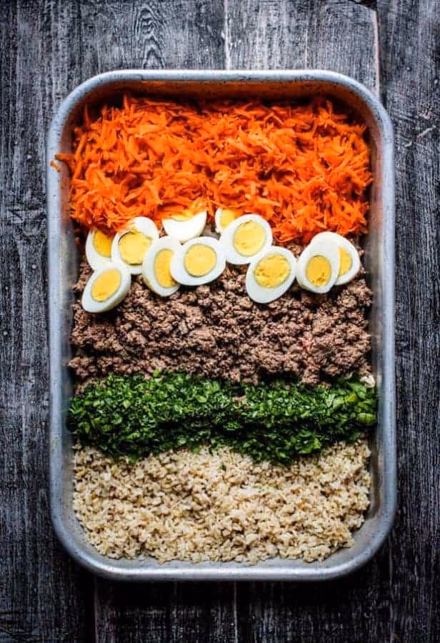 Can doggos eat spices?