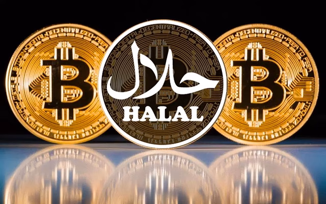 Do halal coins follow shariah guidelines?