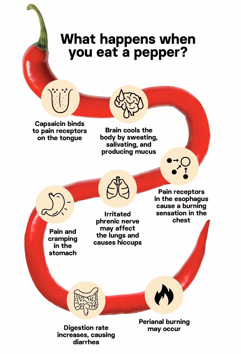 Does capsaicin Burn Your Skin?
