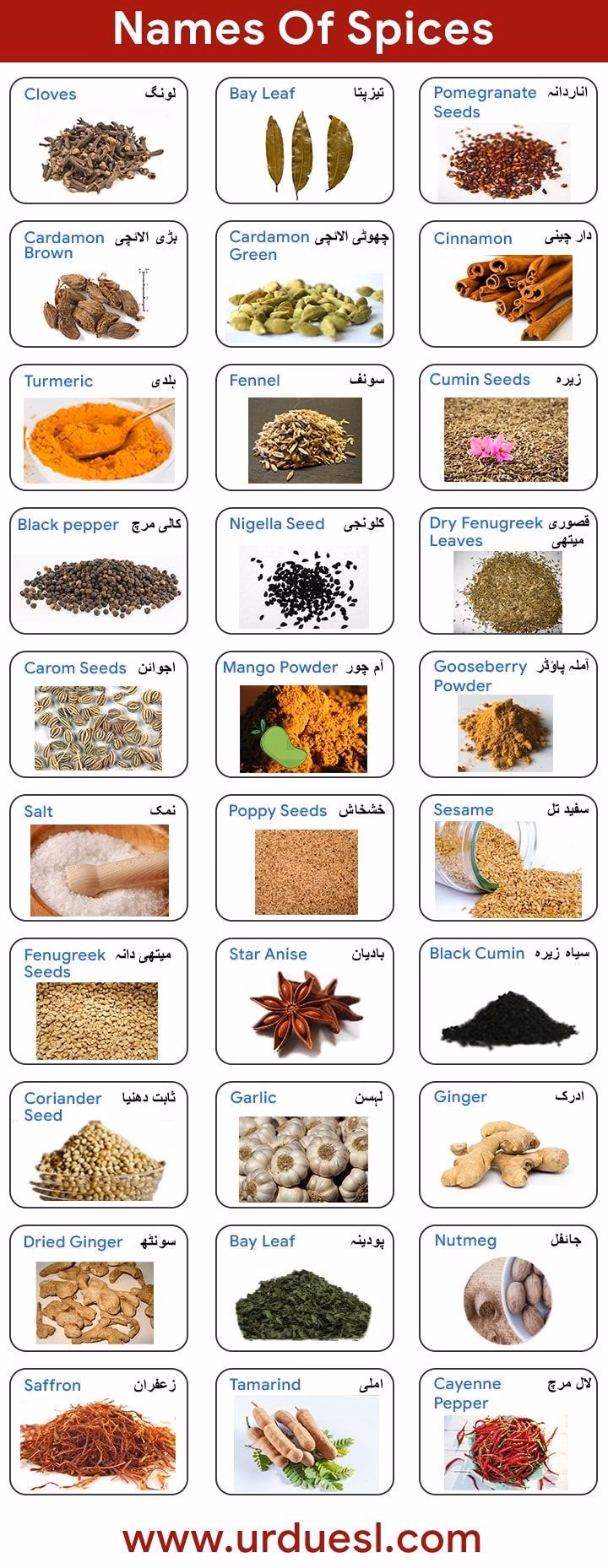 Can Indian spices be used in English?