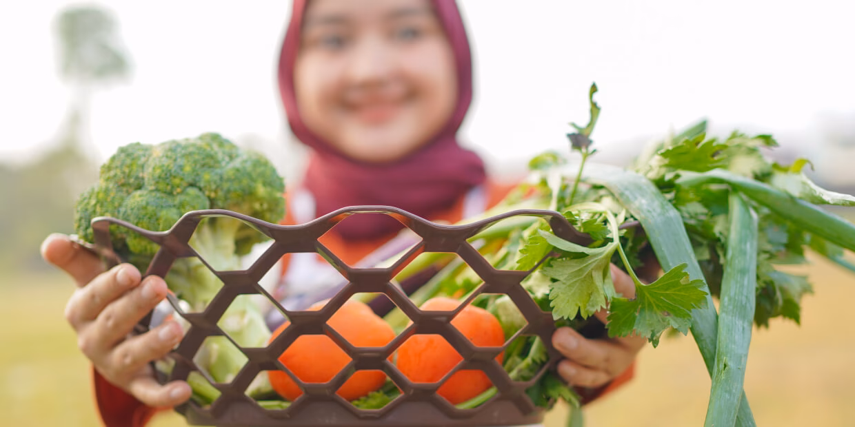 What is Islamic vegetarianism & veganism?