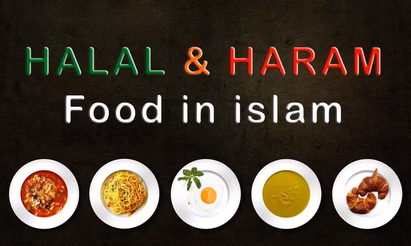 What is halal food?