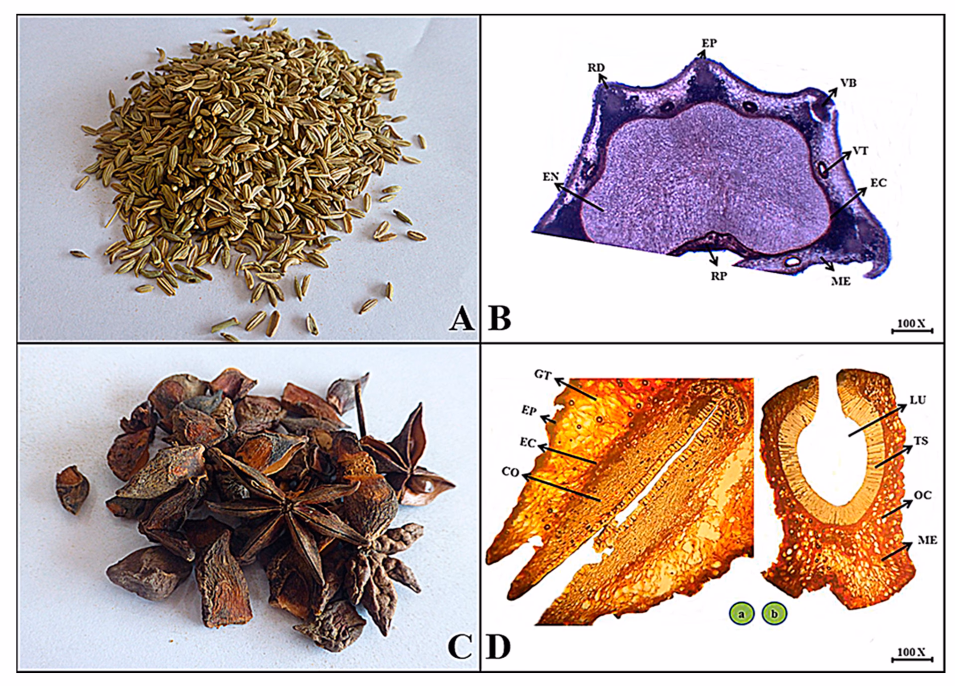 What is a food science journal?