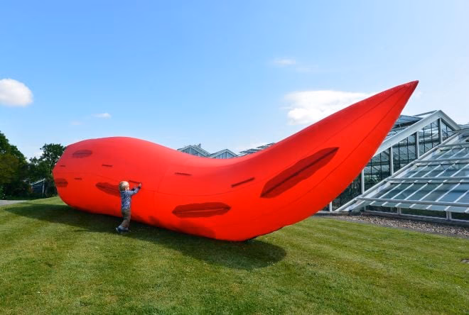 Who is coming to Kew?