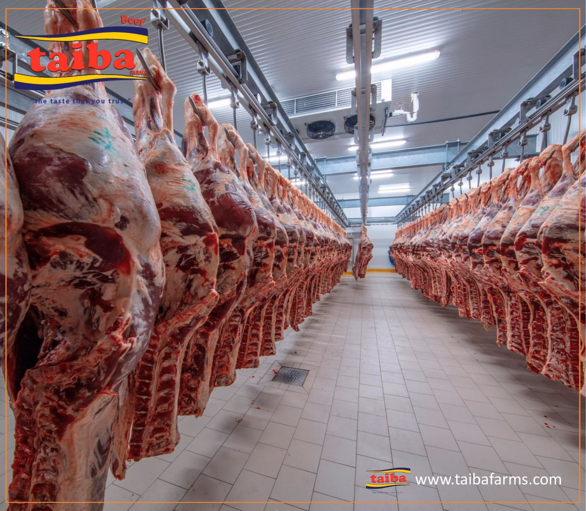 Where can I buy halal beef?