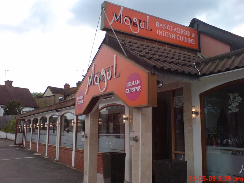 What makes Mogul Dynasty restaurant unique?