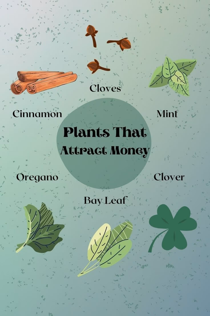 Why do hoodoos use herbs?