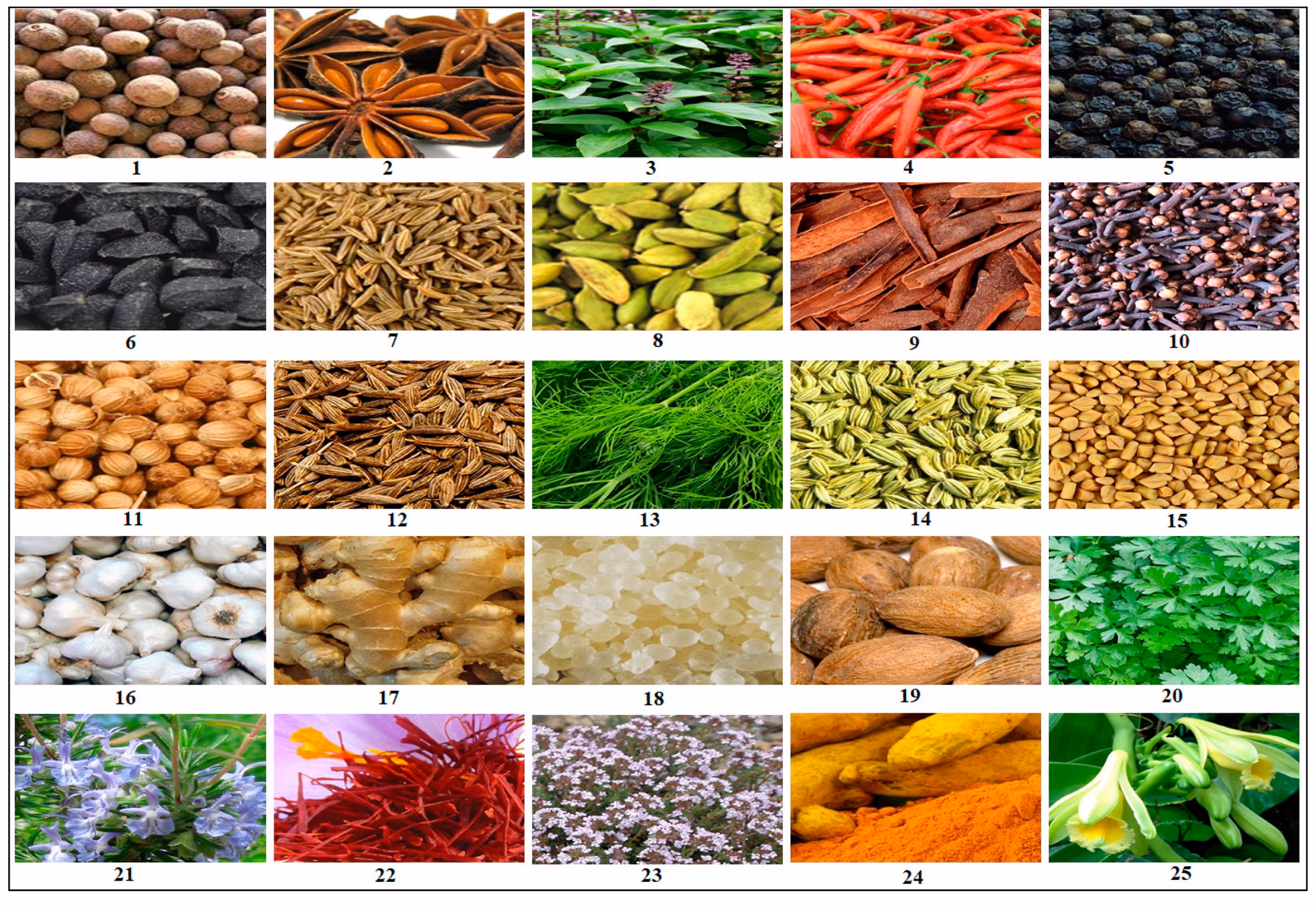 What is analysis of food spices?