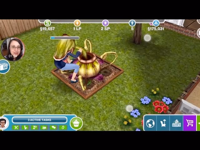 Can I plant a SIM eat plant on a garden patch?