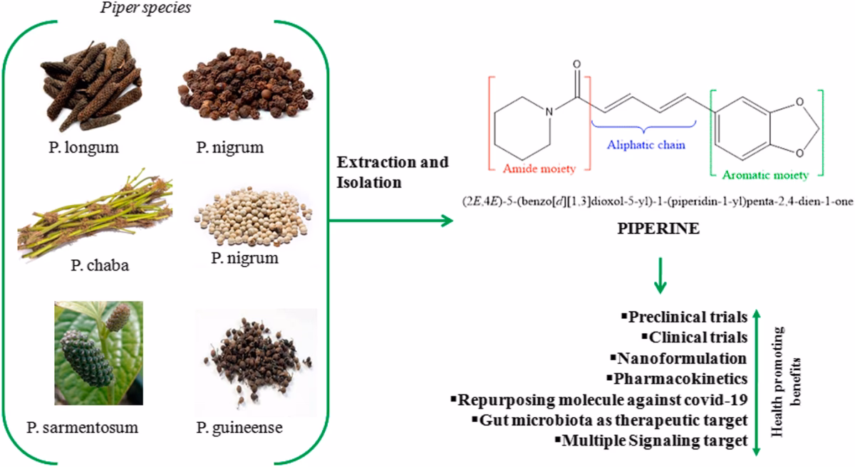 Which alkaloid is present in black pepper?