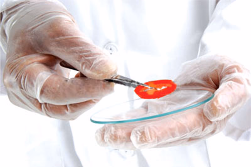 Are spices good for You?