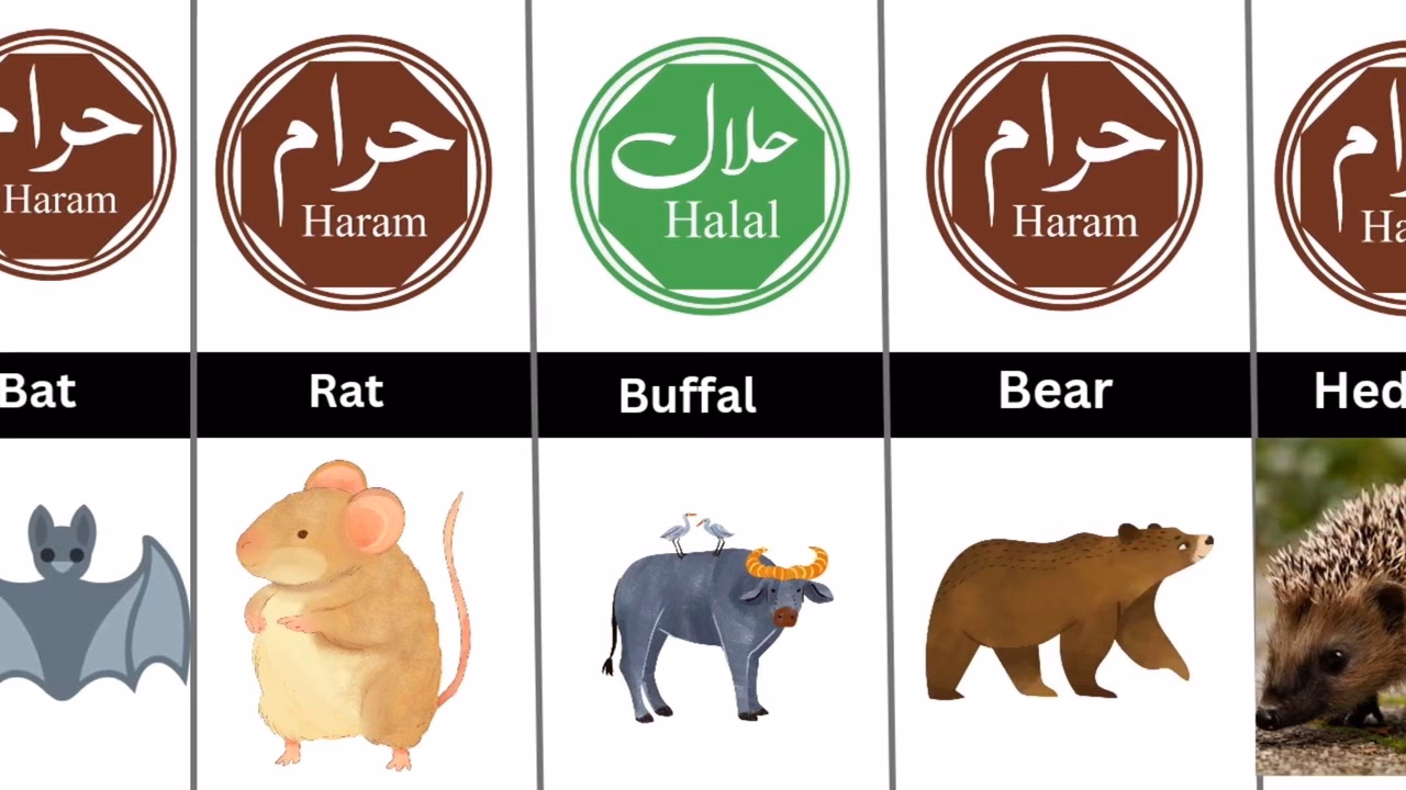 What is halal (permissible) & haram (forbidden)?