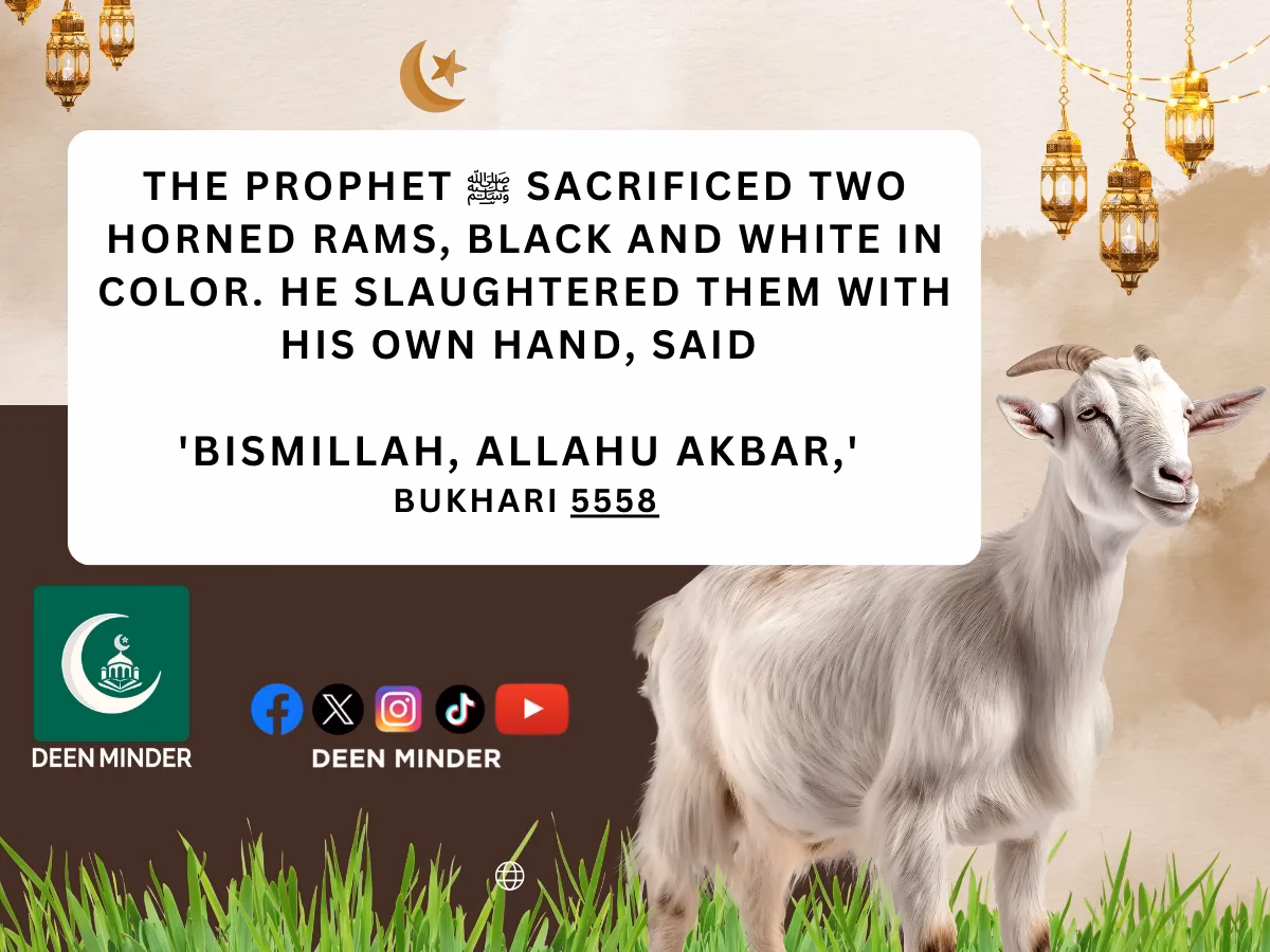 What is ritual slaughter in Islam?