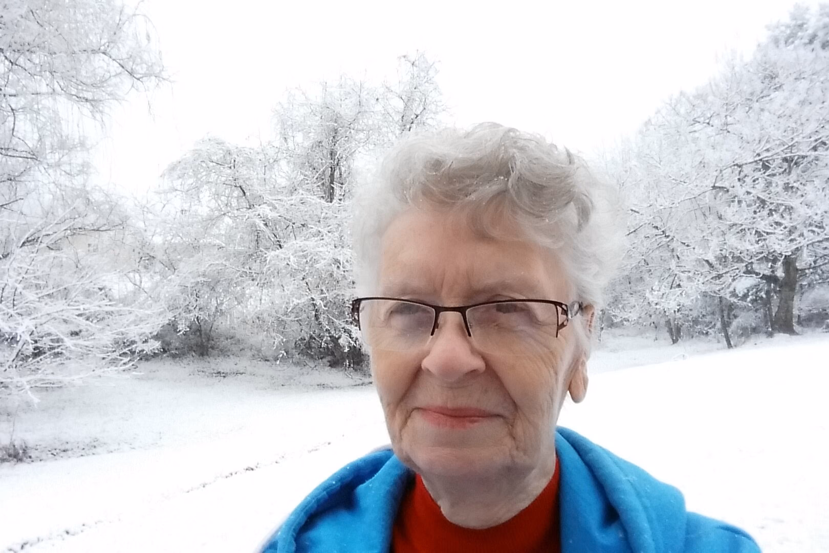 Why is Shirley Curry so popular?