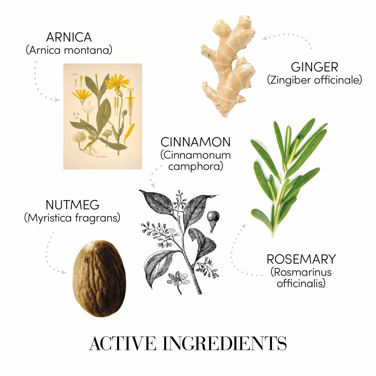 Can natural hair growth herbs help you beat hair loss?