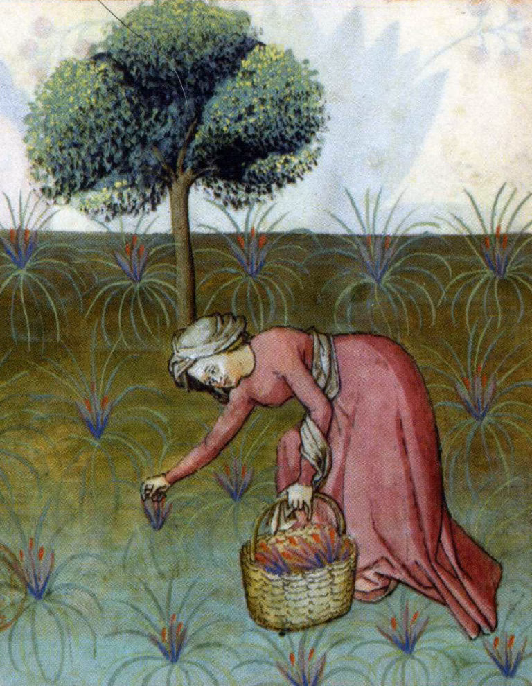 What herbs were used in medieval kitchens?