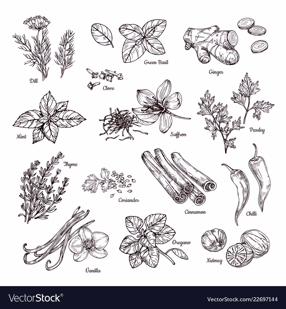 How do I choose a tattoo for my Zodiac sign?