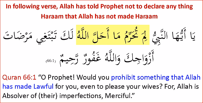 What are halal principles?