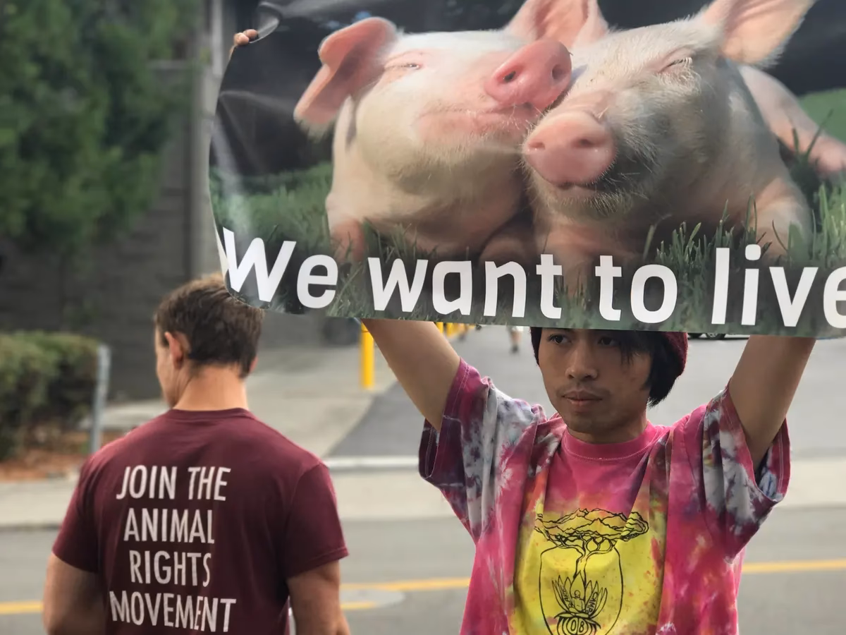 Can vegans avoid making meat-eaters feel morally threatened?